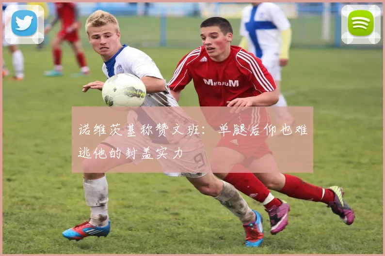 诺维茨基称赞文班：单腿后仰也难逃他的封盖实力