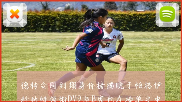 德转合同到期身价榜揭晓于帕格伊科纳特领衔DV9与B席也在榜单之中