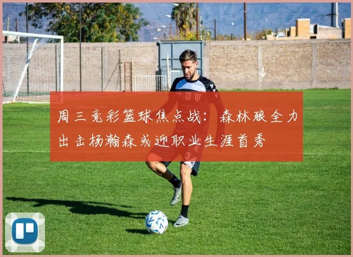 周三竞彩篮球焦点战：森林狼全力出击杨瀚森或迎职业生涯首秀